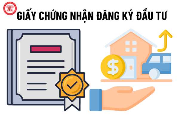 Tư Vấn Xin Cấp Giấy Phép Cho Group