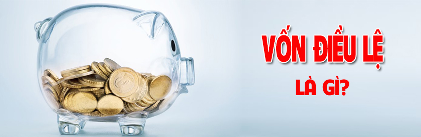 Vốn điều lệ công ty trách nhiệm hữu hạn